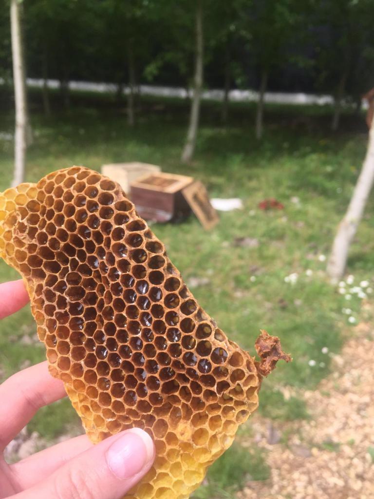 honing als leuk alternatief