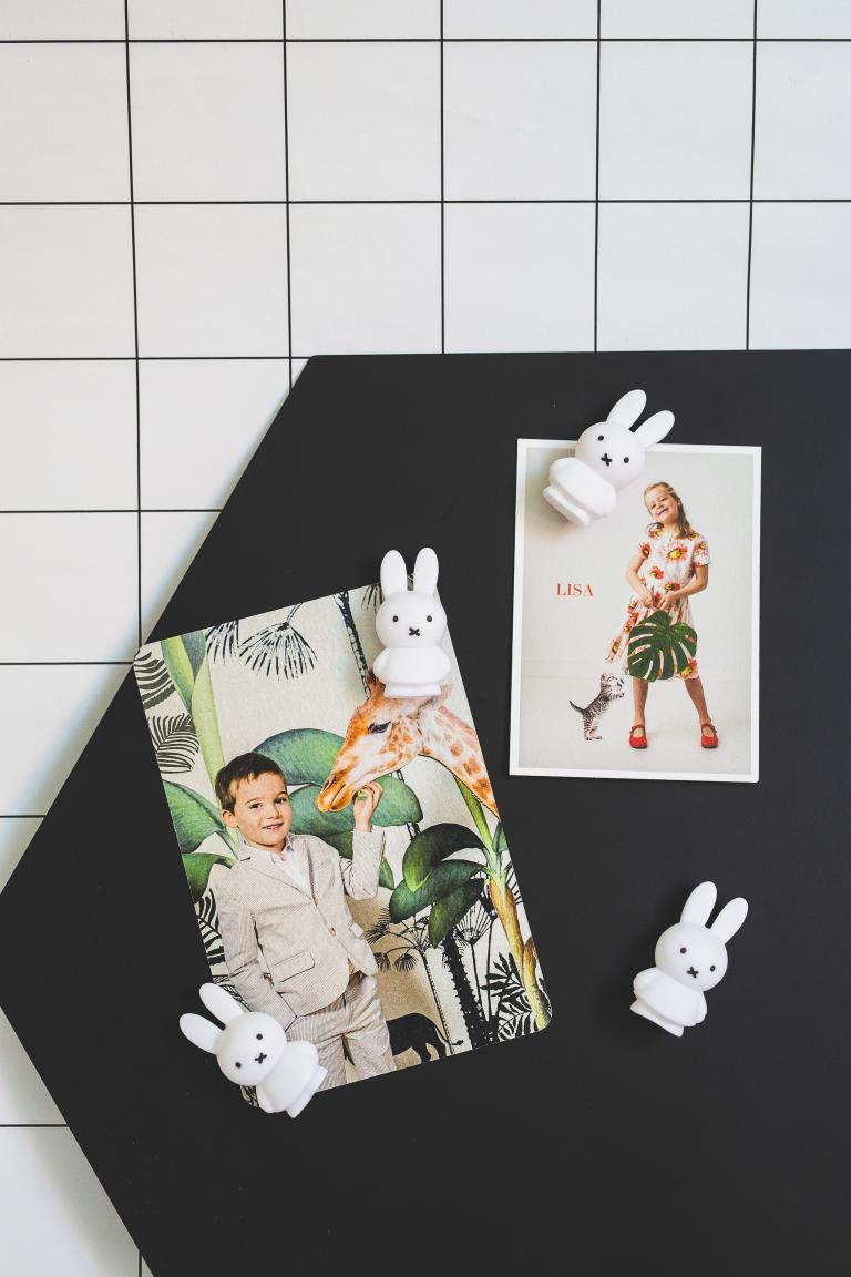 Nijntje | PURE magneten