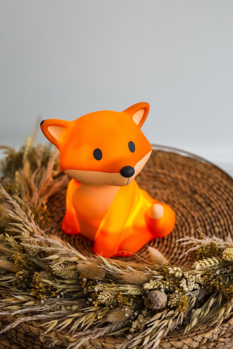 Cesar | LED Nachtlampje 