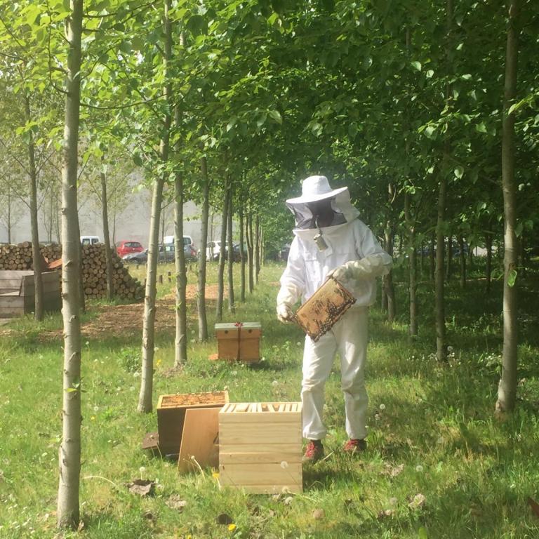 80.000 bijtjes voor biodiversiteit