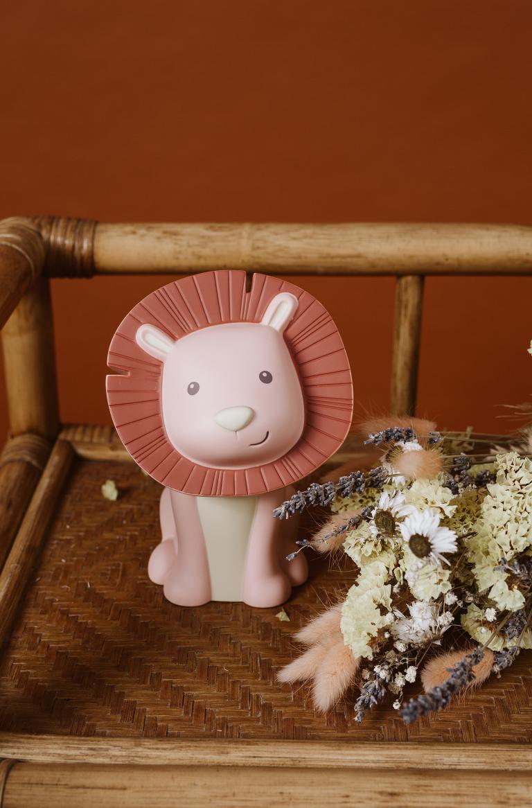 Hakuna I Money Box I AP Junior