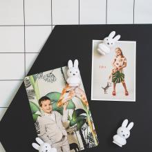 Nijntje | PURE magneten